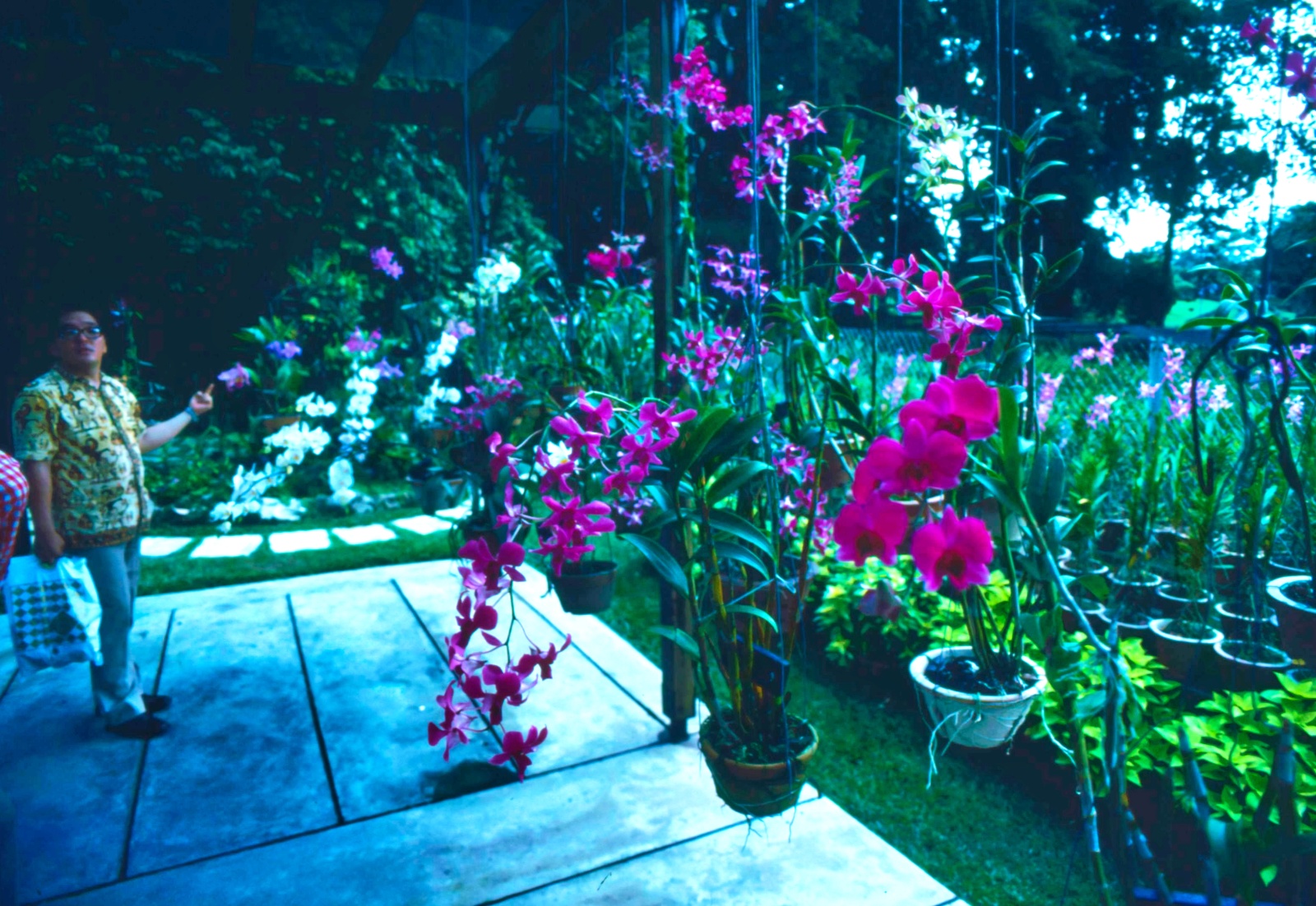 Botanisk have